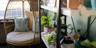 Canopy at Sundance Gallery 72