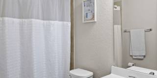 5418 Cicada Gallery 16