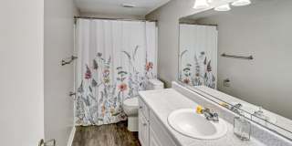 Shoreline Pointe Apartments Gallery 33