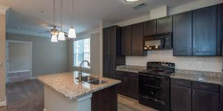 Red Knot at Edinburgh Gallery 1