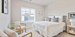 Mangold831 (KC-LN) Gallery 34