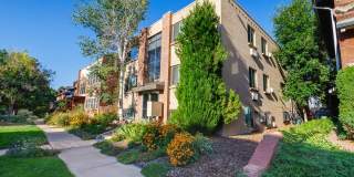 1536 Vine Gallery 14