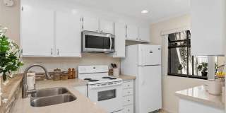 204 Pineview Gallery 5