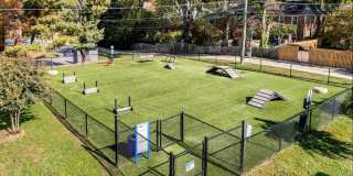 Rodgers Forge Gallery 14