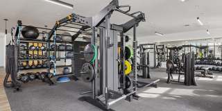 Griffin 441 Gallery 12