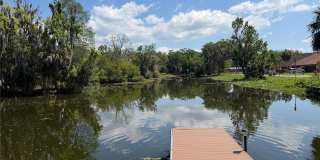 804 PALM HARBOR COURT Gallery 29