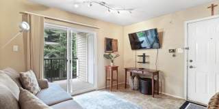 3304 WYNDHAM CIR #235 Gallery 3