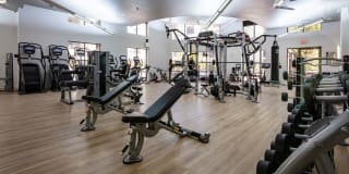 Triana Triana Gallery 28