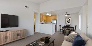 Sycamore Village Gallery 1