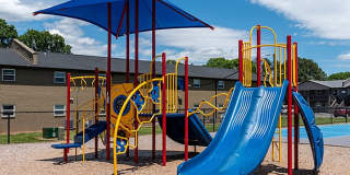 Cedar Ridge Gallery 23