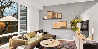 Amara Gallery 19