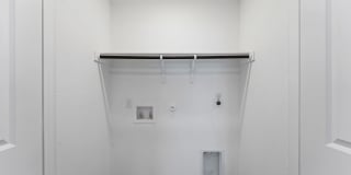 332 Elephants Ear Gallery 19