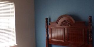 Pets Negotiable with Owner Approval! Gallery 20