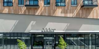 Alder at Allston Yards Gallery 21