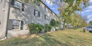 Solana at Brentwood Gallery 16