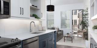 AVE Paradise Valley Gallery 5