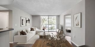 Palm Trace Landings Gallery 46