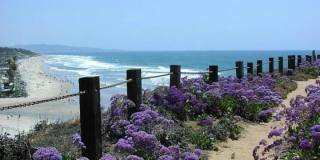 12261 Carmel Vista Rd Gallery 40