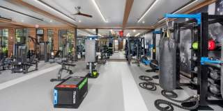 Timberline View Gallery 25