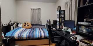 Large 5 bed in Allston Gallery 19