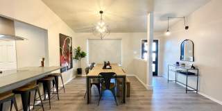 29608 TERRA VIS Gallery 3