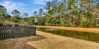 147 Palm Cove Way Gallery 35