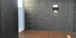 Alexandria Park Gallery 33