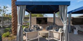 The Aster at Mountain Vista - BRAND NEW Gallery 24