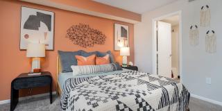 Steeplechase Gallery 26