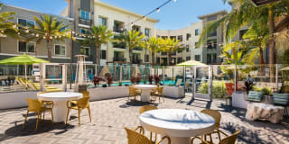 Olympus Corsair Gallery 55