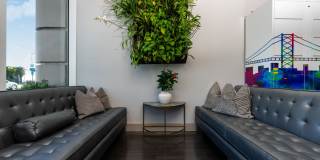 SOMA at 788 Gallery 30