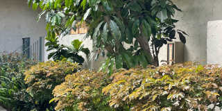 LUXURY LIVING AT AN AFFORDABLE PRICE Gallery 5