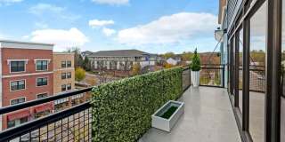 Zen Chaska Zen Chaska Gallery 29