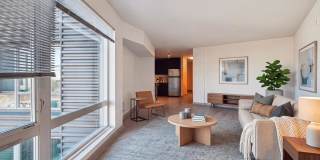 Viva Gallery 1