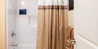 Paugus Woods Gallery 33