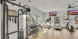 The Madrid Gallery 10