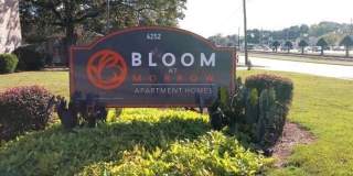 Bloom at Morrow Gallery 32