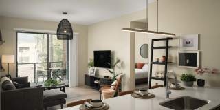 Scottsdale on Main Gallery 23