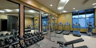 Solaire 1150 Ripley Gallery 5