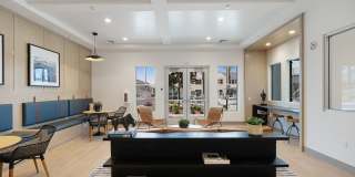Stirling at Cota Vera Gallery 6
