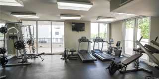 4100 Salzedo Street Gallery 13