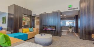 Linden Apartments Gallery 12
