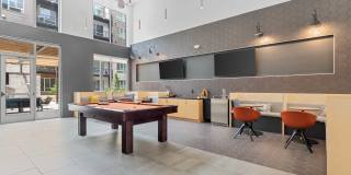 Legacy at Fitz Gallery 37