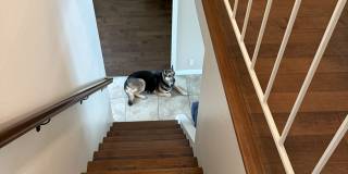 33055 Dolphin Court Gallery 13