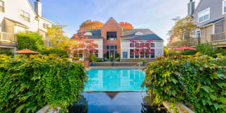 LionsGate North Gallery 2