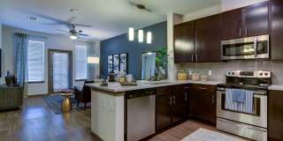 Park at Rialto Gallery 14