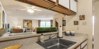 Grand Palms Gallery 10