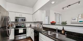 Arrive on University Gallery 1