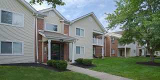 Fox Chase South Gallery 26