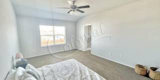 1307 Cesarina St. Gallery 17